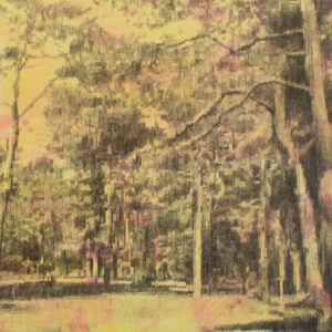 In The Park